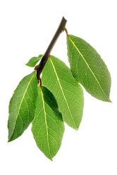 Similar image 6283694