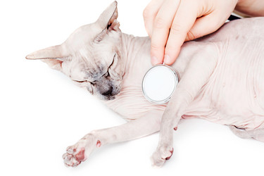 Similar image 6283788