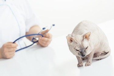 Similar image 6283789