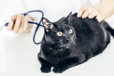 Similar image 6283800