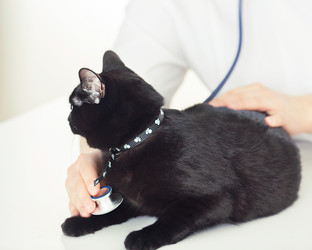 Similar image 6283820