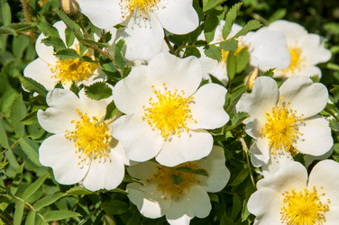 Similar image 6283929