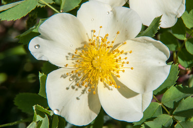 Similar image 6283931