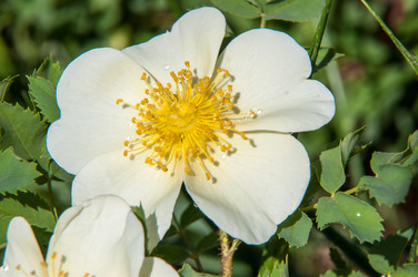 Similar image 6283932