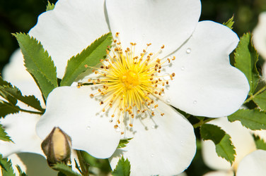 Similar image 6283933