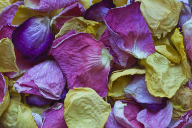 Similar image 6297569