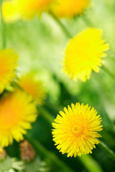 Similar image 6297589