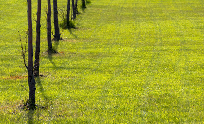 Similar image 6297596