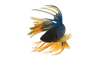 Similar image 6297618