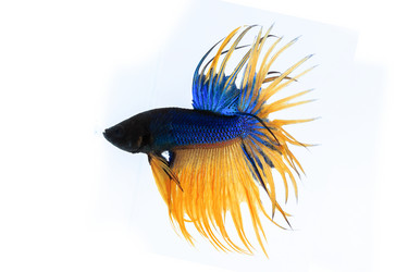 Similar image 6297620