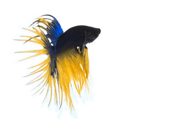 Similar image 6297621