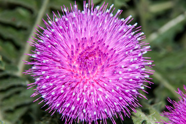 Similar image 6297642