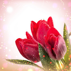 Similar image 6297645