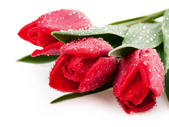 Similar image 6297647