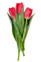 Similar image 6297648