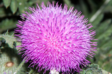 Similar image 6297656