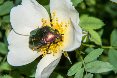 Similar image 6297657