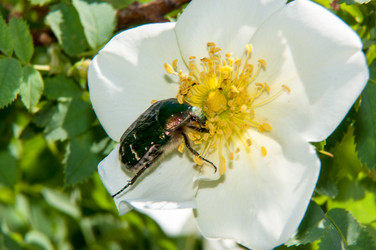 Similar image 6297658