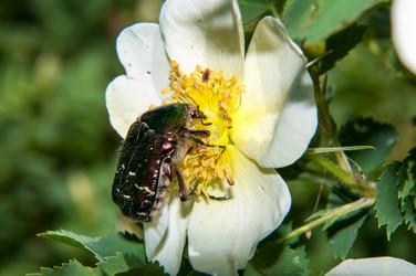 Similar image 6297659