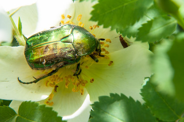 Similar image 6297660