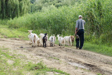 Similar image 6297717