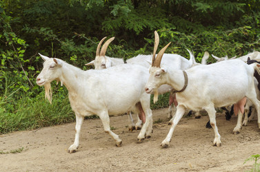 Similar image 6297718