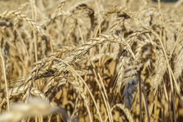 Similar image 6297720