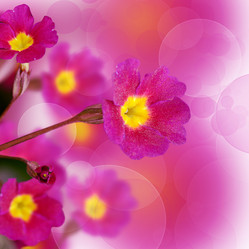 Similar image 6297805