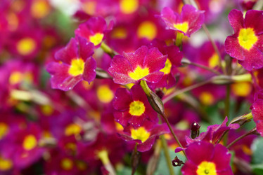 Similar image 6297806