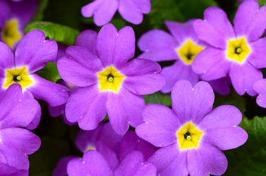 Similar image 6297810