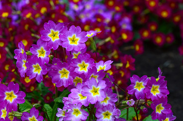 Similar image 6297823