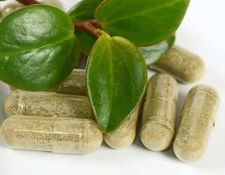 Similar image 6297850