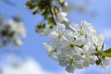 Similar image 6297921