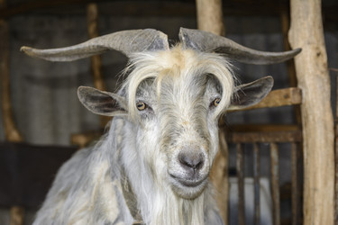 Similar image 6297942