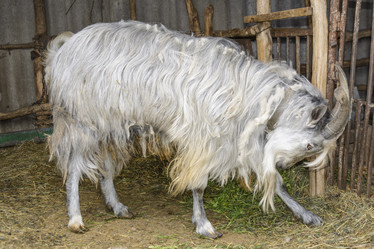 Similar image 6297944