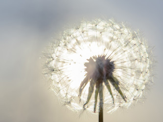 Similar image 6297943