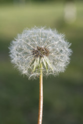 Similar image 6297945