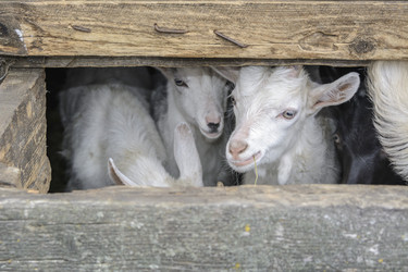 Similar image 6297946