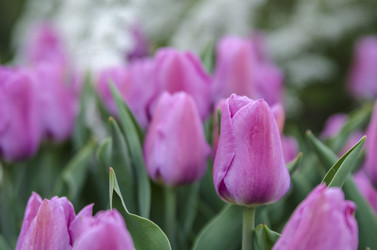 Similar image 6297953