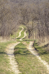 Similar image 6298215