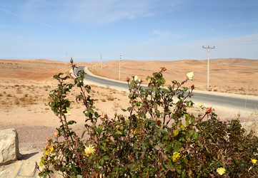 Similar image 6298226