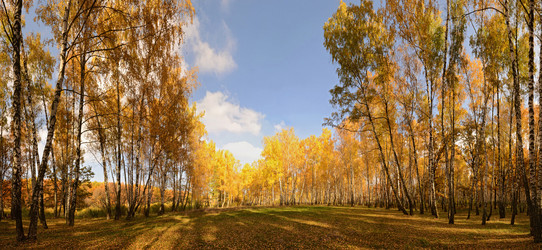 Similar image 6298328