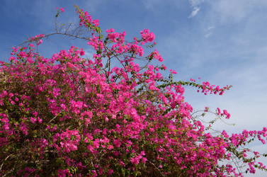 Similar image 6298330