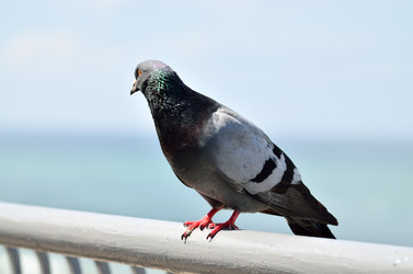 Similar image 6298434