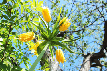 Similar image 6298447