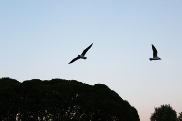 Similar image 6298449