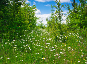 Similar image 6298471