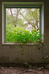 Similar image 6298476