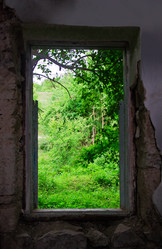 Similar image 6298477