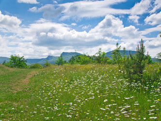 Similar image 6298479